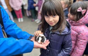 Infantil en la Granja de los cuentos