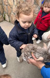 Infantil en la Granja de los cuentos